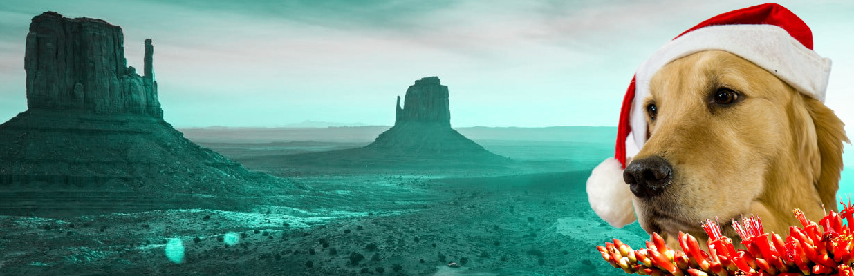 A happy Golden Retriever wearing a Santa hat.